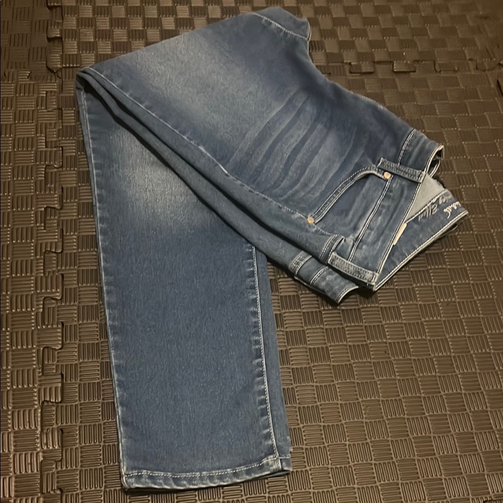 Classic Blue Denim Jeans Gloria Vanderbilt Size 14PA